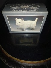 West Highland Terrier 'Westie'