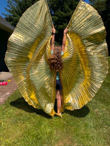 Gold metallic isis wings belly - gold,