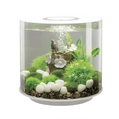 Biorb tube aquarium mcr - biorb, led