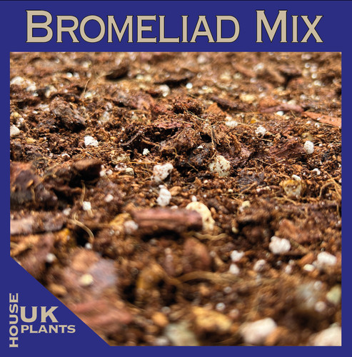 Bromeliad soil mix pest free - bromeliad, (pest-free