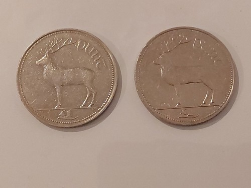 1990 1999 irish punt coins - irish,