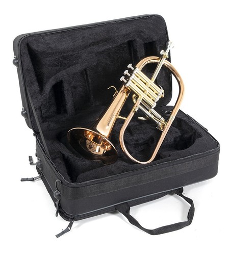 Roy benson 302g - fh-302g, bb