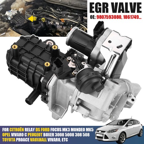 Egr valve module cooler for - valve,