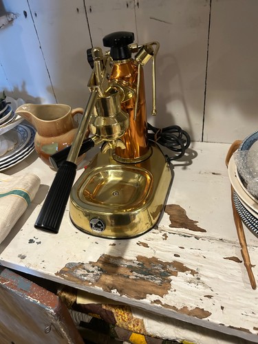 Pavoni europiccola - pavoni,