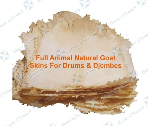 Full goat skins - goat,