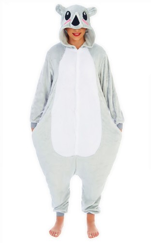 Animal grey koala - grey,