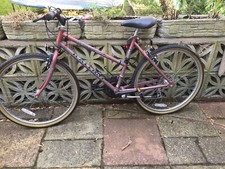 Lady/Girl Raleigh Monsoon