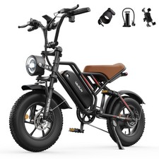 16'' Fat Tire Commuter Electric Bike VARUN 250W Electric Bike 48V 13Ah E-Bike