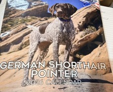 German shorthair pointer dog