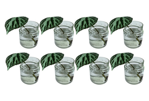 Glass wedding vases - x8, |