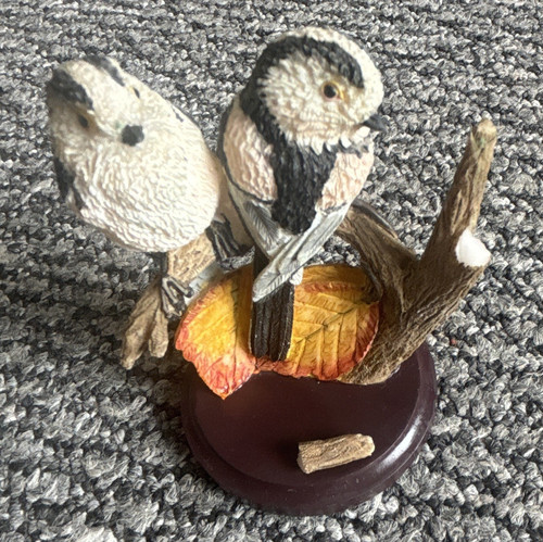 Country bird collection - collection, the