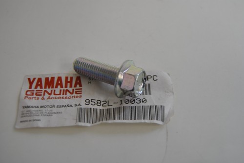 Screw brake caliper rear - screw,