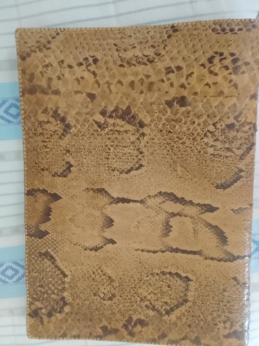 Unique vintage snake - snake, skin