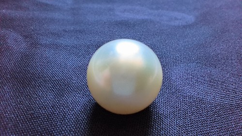 Single genuine white south sea - single,