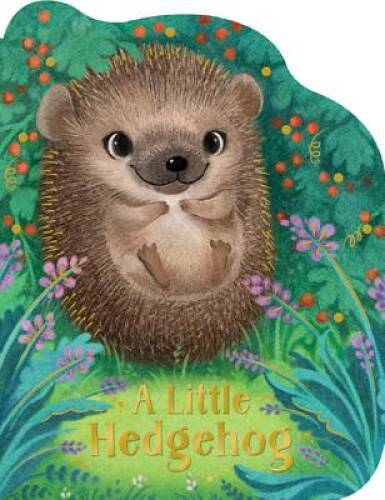 Little hedgehog board book - little,