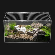 Reptile PC Terrarium,Spider