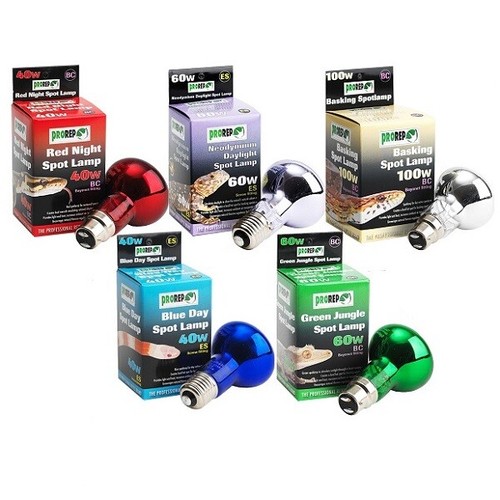Prorep reptile light bulb - prorep,