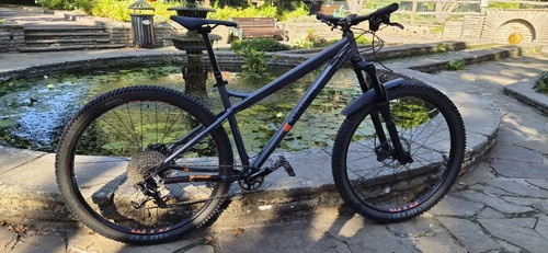 Orange crush comp - 29,