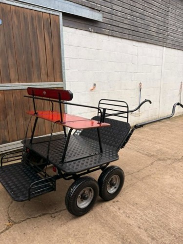 Bennington fun buggie and - fun,