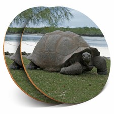 2 x Coasters - Aldabra Giant