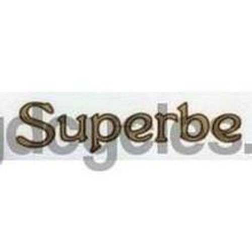 Raleigh superbe chaincase - raleigh,