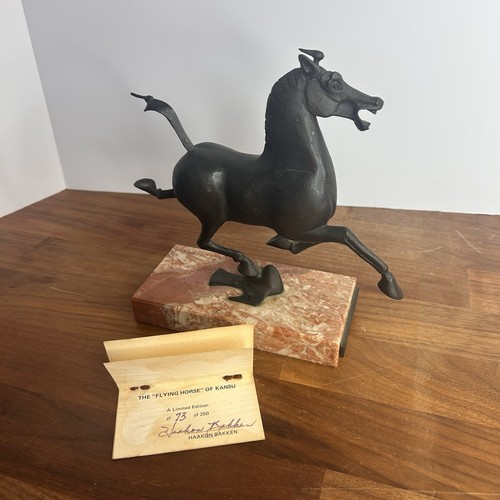 Haakon bakken flying horse - haakon,
