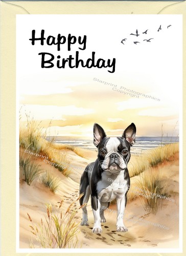 Boston terrier dog birthday - terrier,