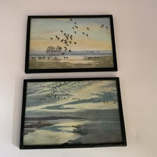 Framed Prints Peter Scott White fronts On Floodwater Brent Geese Postcard Size 