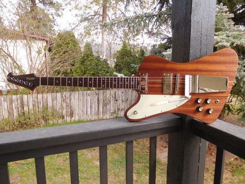 Lefty firebird guitar - lefty,