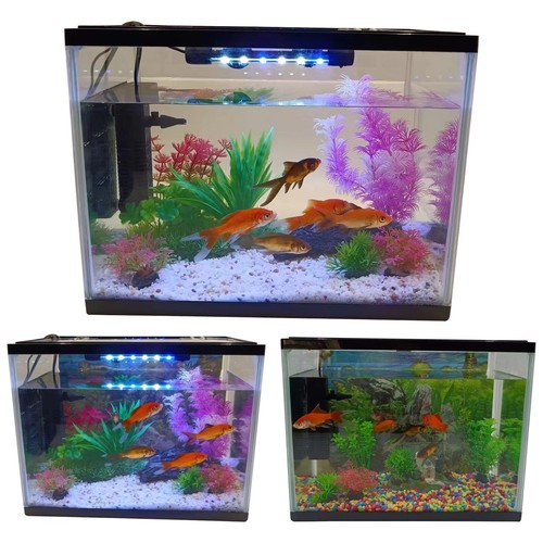 Led glass aquarium - aquarium, fish