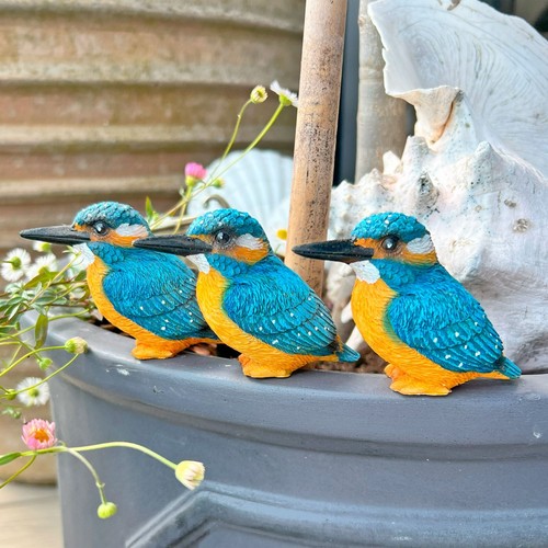 Pot topping kingfisher bird - topping,