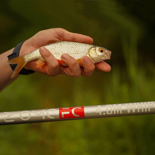 One more cast omc - cast,