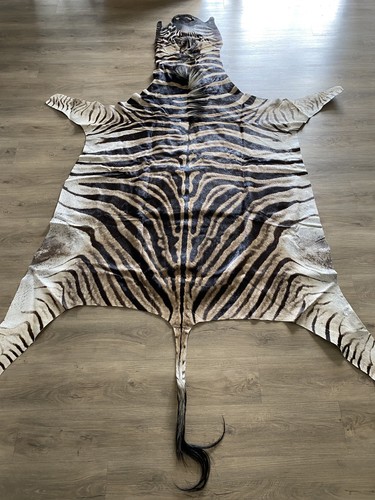Zebra real skin - real, rug