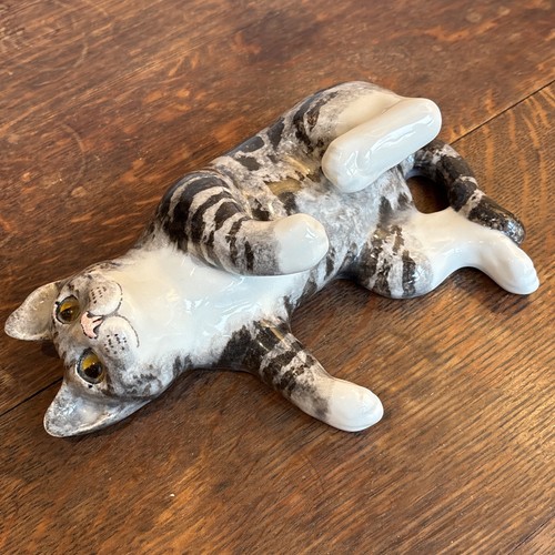 Lying wait tabby - wait,