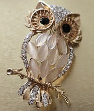 Absolutely Stunning Owl