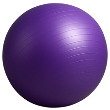 Gym Ball Anti Burst Exercise