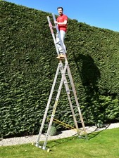 Triple Combination Ladders - 3