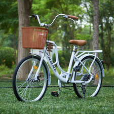 24/26inch Vintage Bike Adult