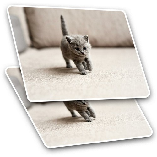 Rectangle stickers 5 - rectangle, 7.5