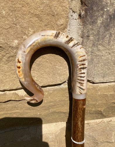 Rams horn crook handle stick - rams,