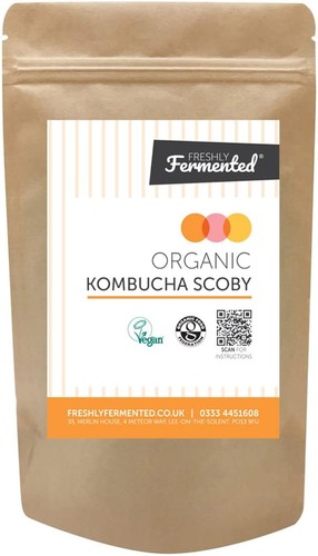 Freshly fermented organic - fermented,
