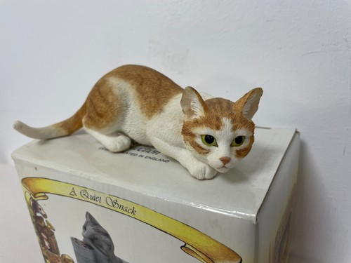 Leonardo ginger white - leonardo, cat