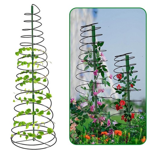 Trellis for climbing plants - climbing,