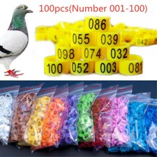 100PCS Bird Rings Leg Foot