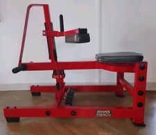 Hammer Strength Seated Calf