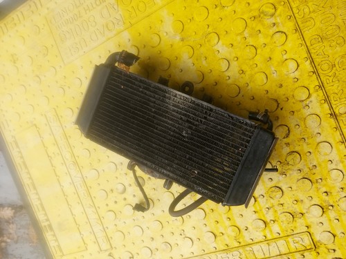 Yamaha fzs600 fazer radiator - yamaha,