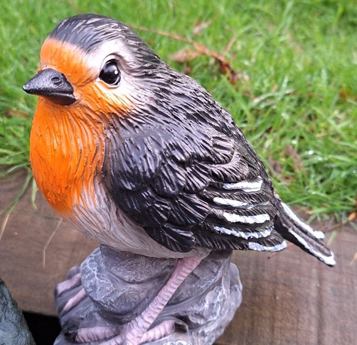 Garden gift robin outdoor - garden,
