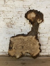 Waney Edge Live Edge Oak Burr  Burl Boards Planks Slabs River Table