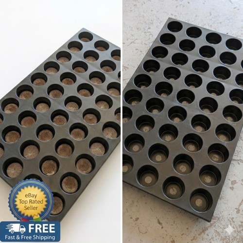 Jiffy cell seedling - 45/15,