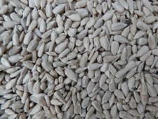 20kg Sunflower Hearts Premium